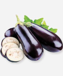 Eggplant