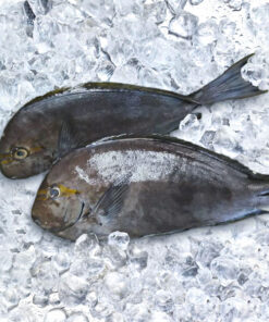 Labahita Delivery Metro Manila