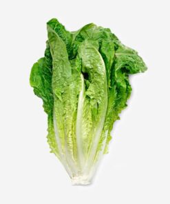 Lettuce Delivery Metro Manila