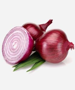 Onion (Red)