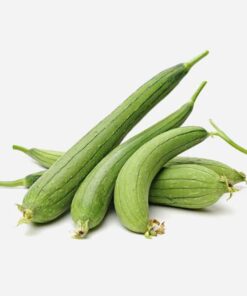 Patola Delivery Metro Manila