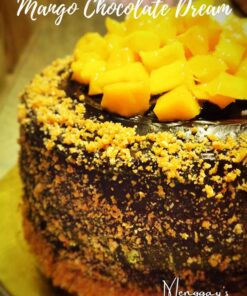 Mango Chocolate Dream Cake